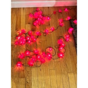 VTG Wynne 20-Lite Poinsettia Christmas Lights Circa 60s70s WORK BUT NOT FLASHING